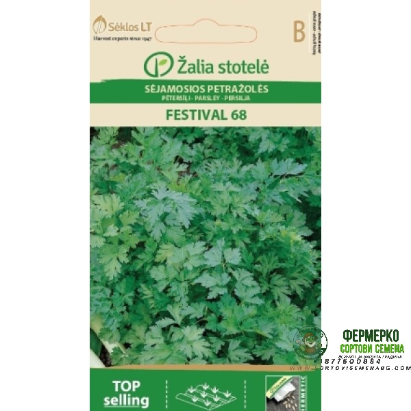 Магданоз Фестивал 68 Festival 68