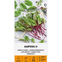 Манголд Ампера F1 Ampera H