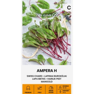 Манголд Ампера F1 / Ampera H