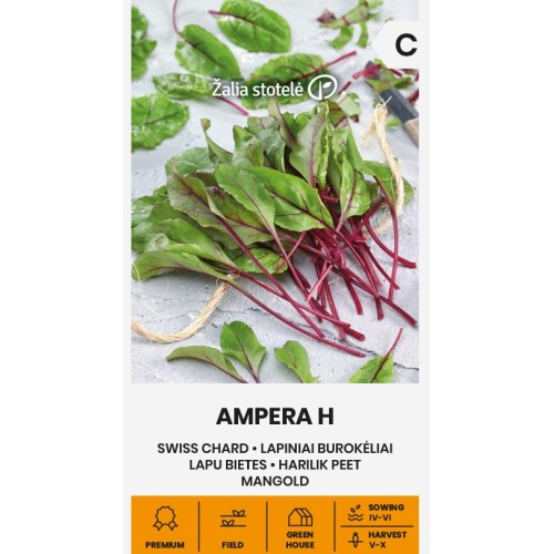Манголд Ампера F1 / Ampera H