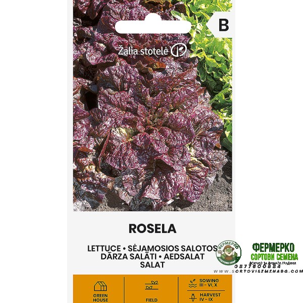 Червена Маруля Розела Rosela