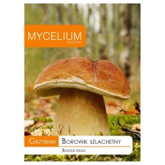 Мицел за Манатарка (Boletus edulis)