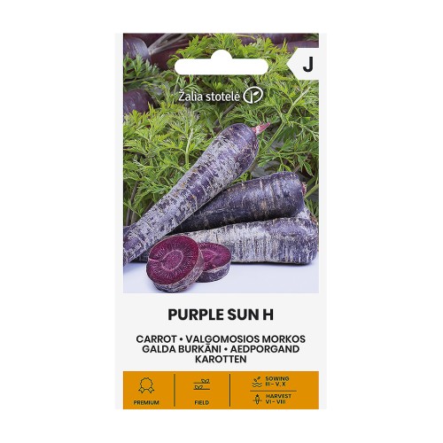 Моркови Лилаво слънце F1 / Daucus carota Purple sun H