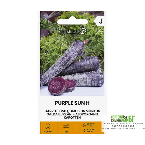 Моркови Лилаво слънце F1 / Daucus carota Purple sun H Моркови Лилаво слънце F1 / Daucus carota Purple sun H