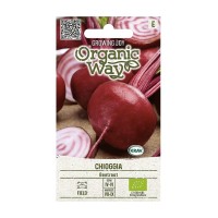 Органик Червено Цвекло Чиогия Chioggia