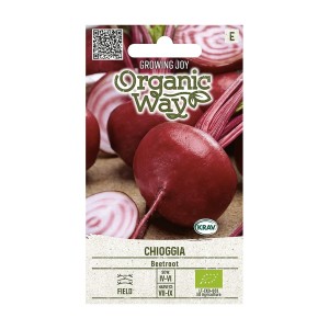 Органик Червено Цвекло Чиогия / Chioggia
