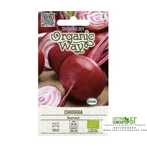 Органик Червено Цвекло Чиогия / Chioggia