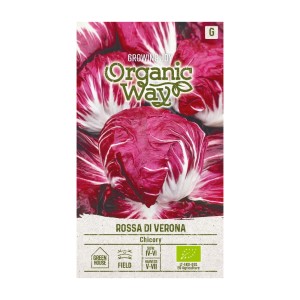 Органик Цикория Роса ди Верона / Rossa di Verona