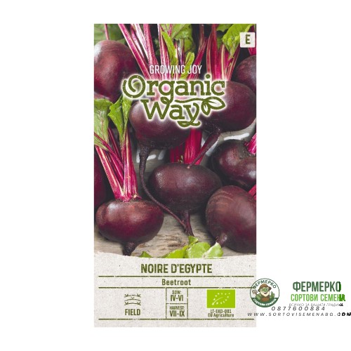 Органик Цвекло Черно Египетско / Noire d Egypte