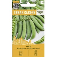 Грах Авола  Avola - Urban garden