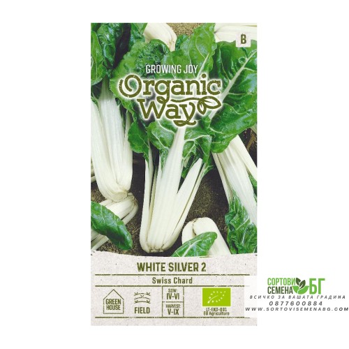Органик Манголд Сребристо бял 2 / Beta vulgaris L White silver 2