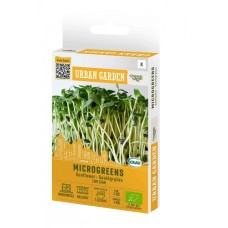 Органик семена Микро Слънчоглед Тини Стар Helianthus annuus L - Urban garden