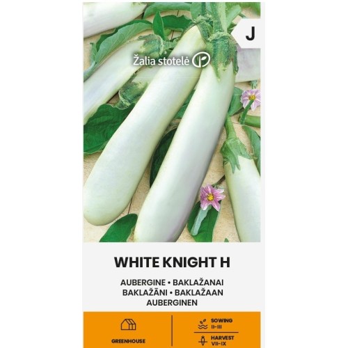 Патладжан Бял рицар F1 / White Knight H