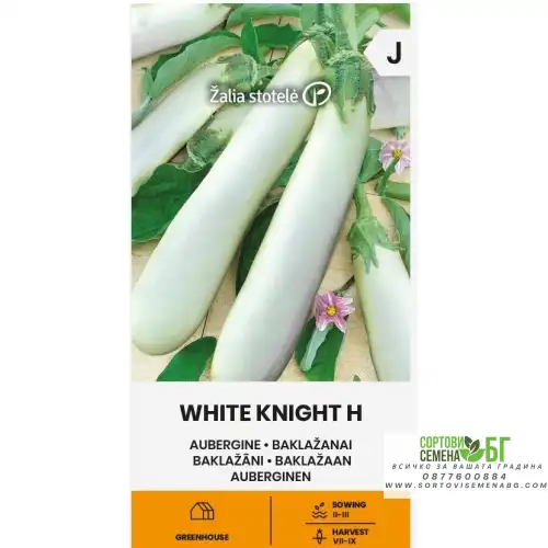 Патладжан Бял рицар F1 / White Knight H Патладжан Бял рицар F1 / White Knight H