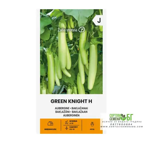 Патладжан Зелен рицар F1 / Green Knight H Патладжан Зелен рицар F1 / Green Knight H