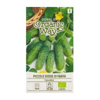 Органик Краставици Пиколо Верде Ди Парижи / Piccolo verde di Parigi