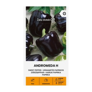 Пипер черни камби Андромеда F1 / Andromeda Н