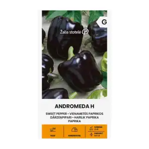 Пипер черни камби Андромеда F1 / Andromeda Н