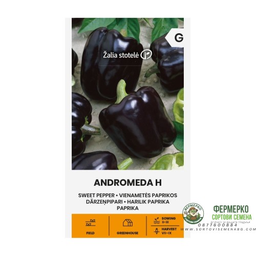 Пипер черни камби Андромеда F1 / Andromeda Н