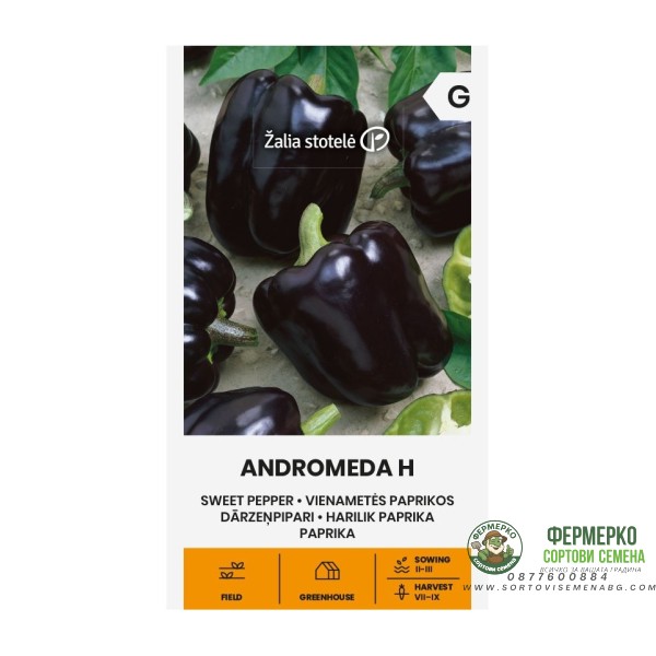 Пипер черни камби Андромеда F1 Andromeda Н