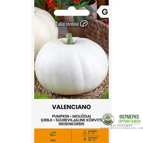 Тиква Валенсиано / Cucurbita maxima Duchesne