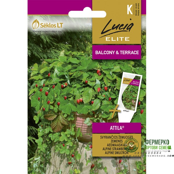 Ягоди Алпийски Атила Fragaria vesca