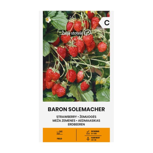 Ягоди Барон Солемахер / Fragaria vesca Baron Solemacher