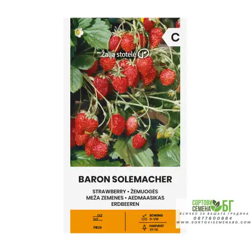 Ягоди Барон Солемахер / Fragaria vesca Baron Solemacher