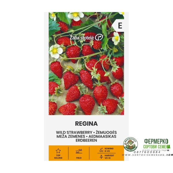 Ягоди Регина Fragaria vesca