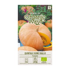 Органик семена Тиква Кинтале семе джиало Cucurbita maxima