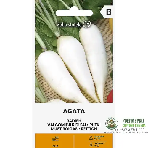 Репички Агата / Agata