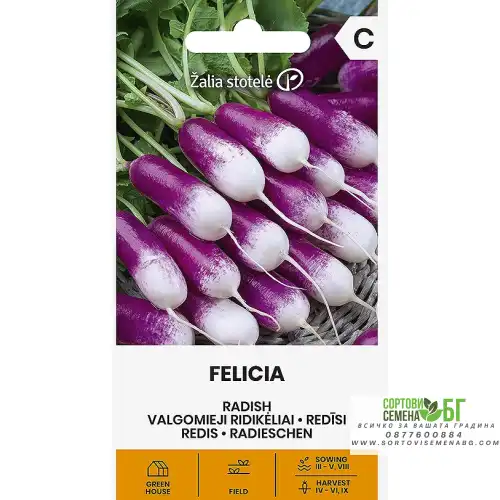 Репички Фелиция / Felicia Репички Фелиция / Felicia