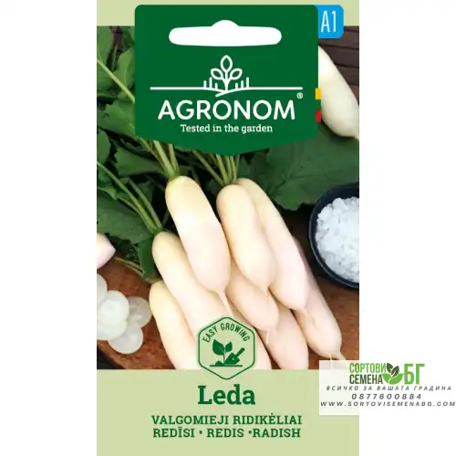 Репички Леда / Leda Репички Леда / Leda