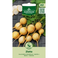 Репички Злата Zlata