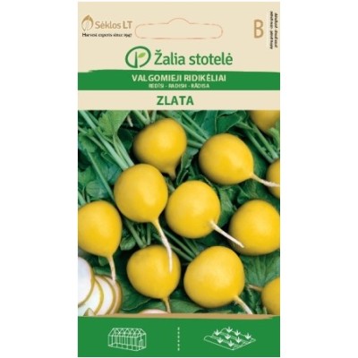 Репички Злата / Zlata