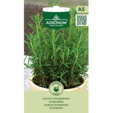 Розмарин Rosmarinus Officinalis