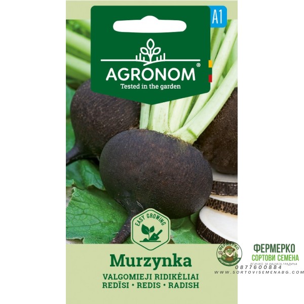 Ряпа Черна Murzynka
