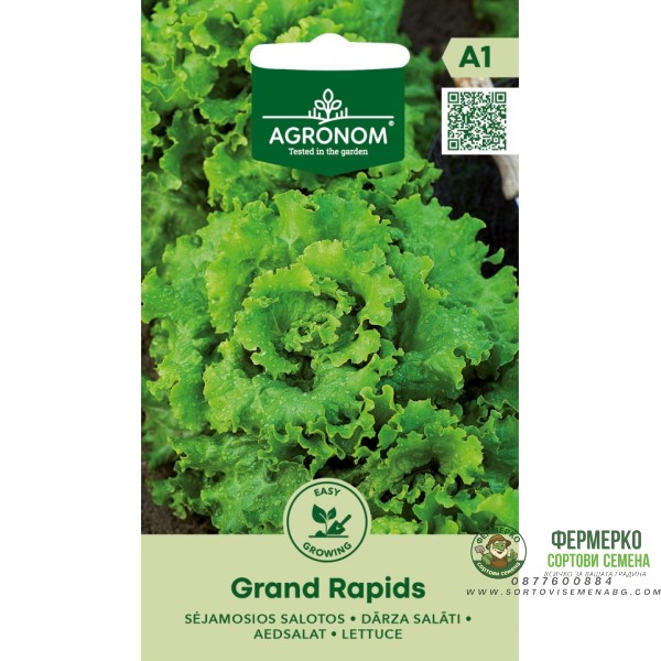 Салата Гранд Рапид Grand Rapids