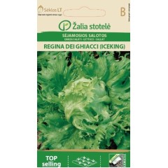 Салата Ледена кралица Regina dei ghiaccie