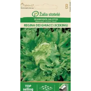 Салата Ледена кралица / Regina dei ghiaccie