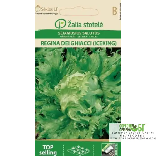 Салата Ледена кралица / Regina dei ghiaccie Салата Ледена кралица / Regina dei ghiaccie