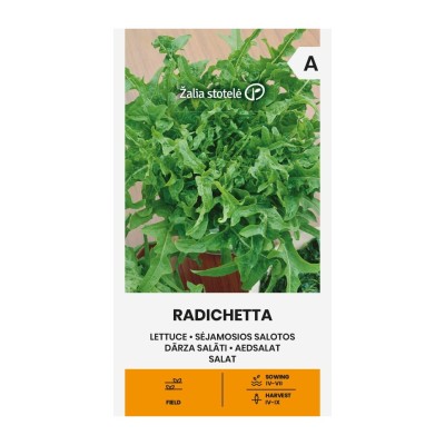 Салата Радичета / Lactuca sativa L