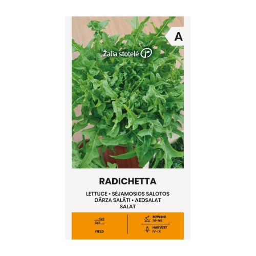 Салата Радичета / Lactuca sativa L