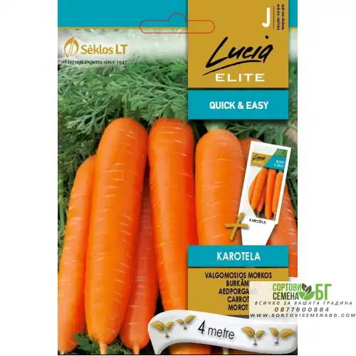 Семена на лента за Морков Каротела Семена на лента за Морков Каротела