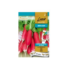 Семена на лента Репички дълги De dix huit jours