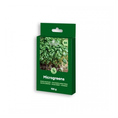 Семена за микро Бял Синап / Sinapis alba L - 100 гр