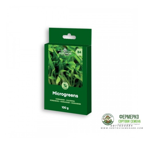 Семена за микро Кориандър / Coriandrum sativum L - 100 гр