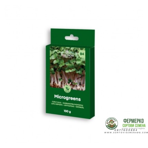Семена за микро Къдрав Кейл Brassica oleracea L - 100 гр