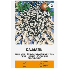 Фасул Далматин Dalmatin (храстовиден с шарено бяло-черно зърно)