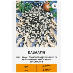 Фасул Далматин Dalmatin (храстовиден с шарено бяло-черно зърно)